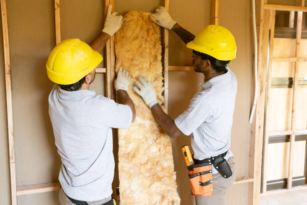 Best Wall Insulation Installation  in Talahi Island, GA